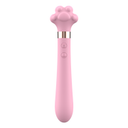 Puni