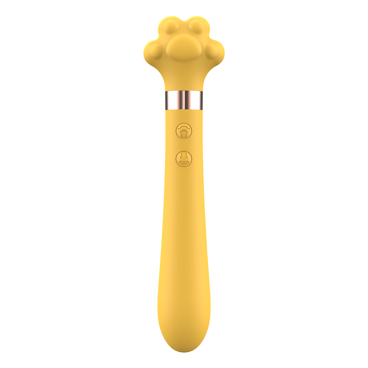 Puni