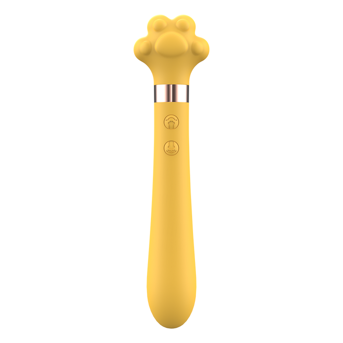 Puni