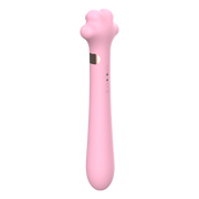 Puni